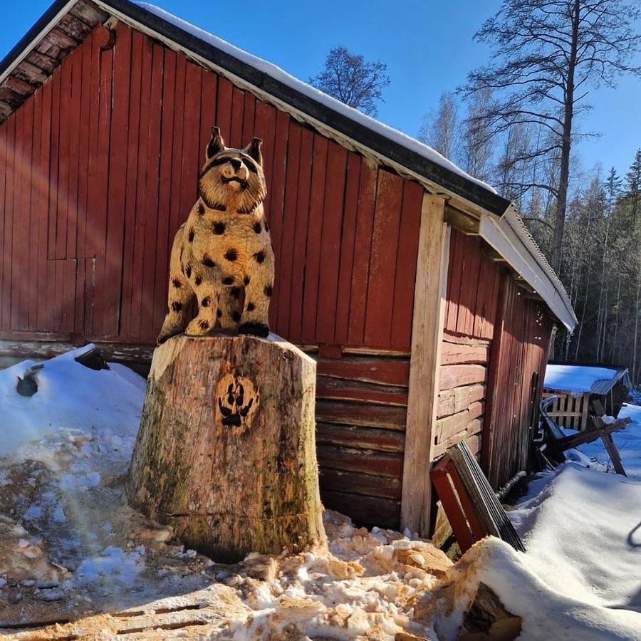 Katiskosken Joenrantamoekki Villa